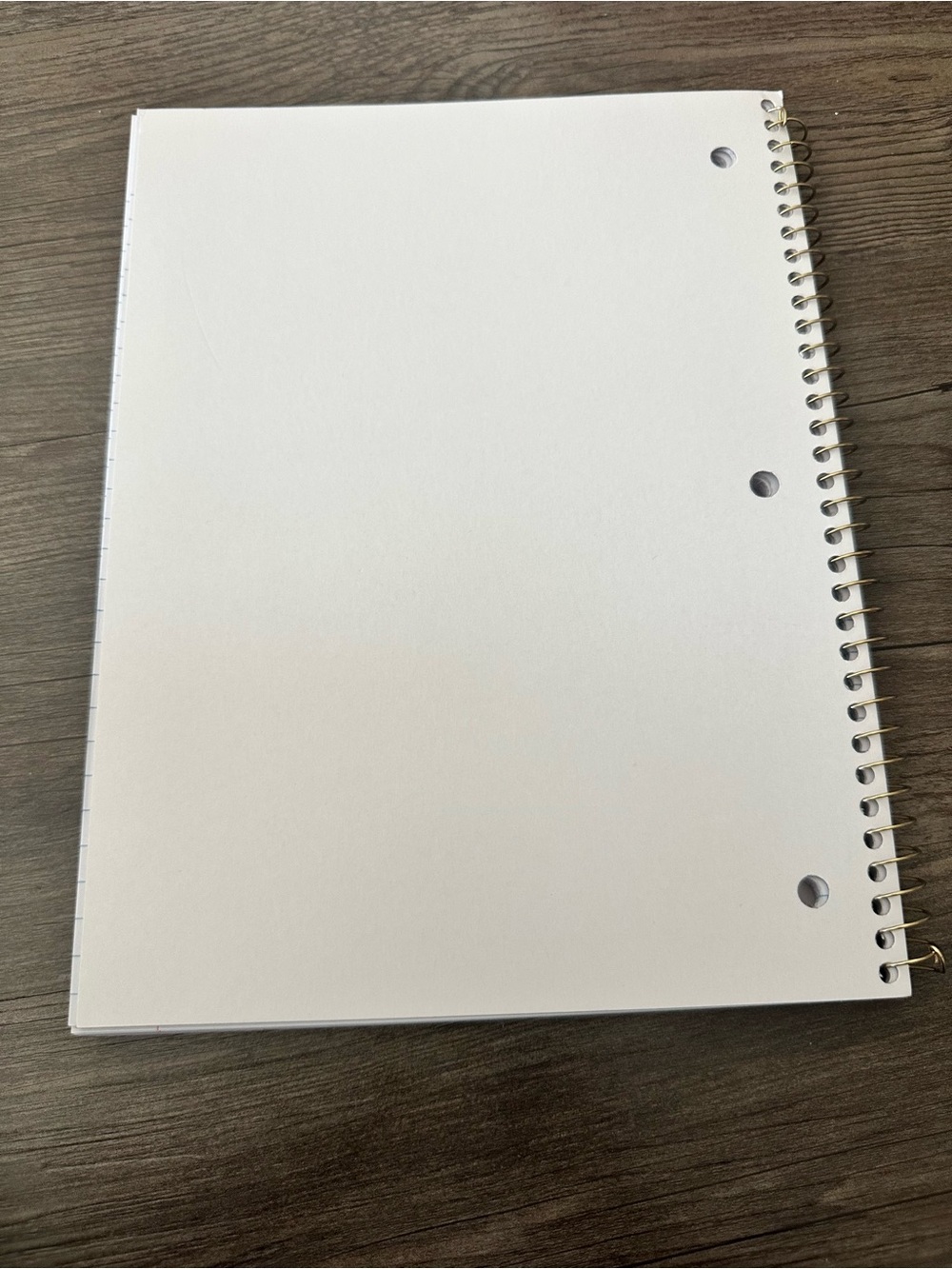 💜🎯 LoveShackFancy x Target - Yoobi Happy Thoughts Wide Ruled Notebook Hibiscus - Picture 5 of 5